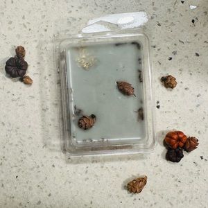 Fall wax melts